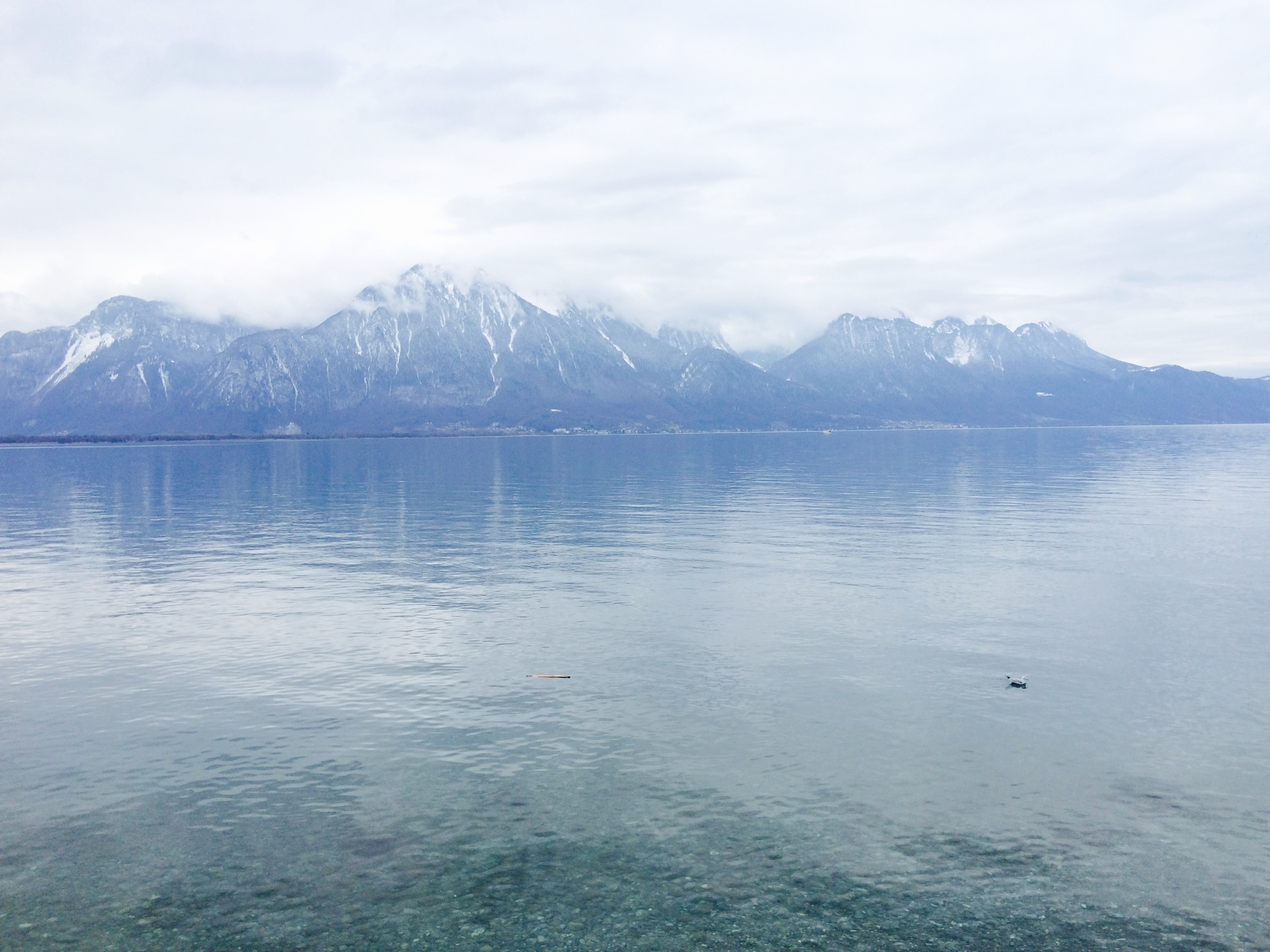 Ce dimanche rime avec ouverture de la pêche 2020 dans le Léman